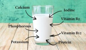 raw-milk-nutrients