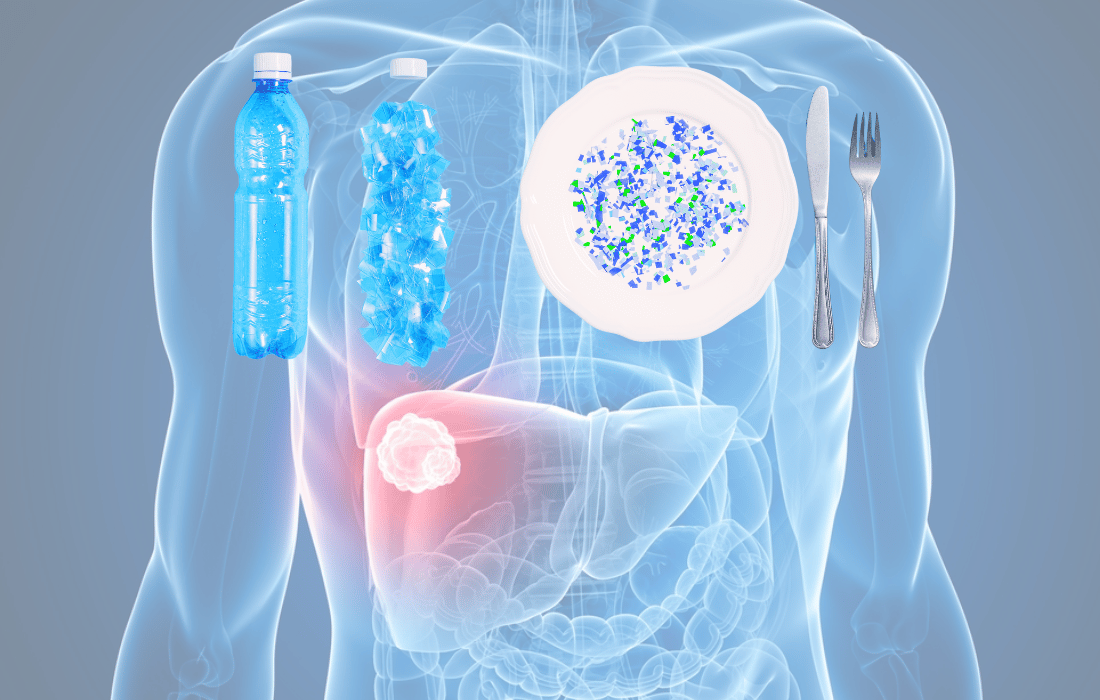 microplastics-lesions-organs