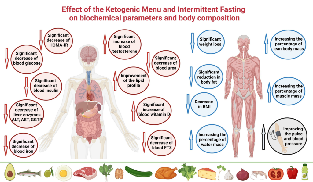 intermittent-fasting-ketosis-testosterone-mitochondria