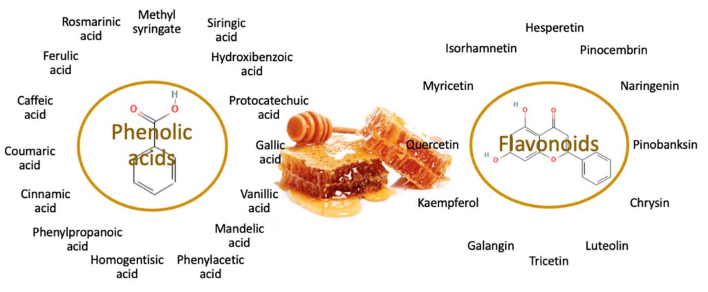 Phenolic-compounds-honey