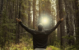 forest-bathing-mens-mental-physical-health