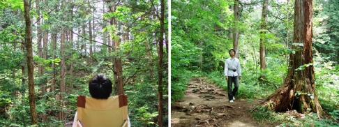 forest-bathing-viewing-walking-study