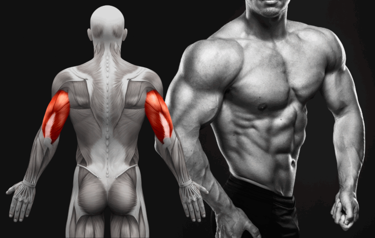muscle-mass-vs-strength-testosterone-study